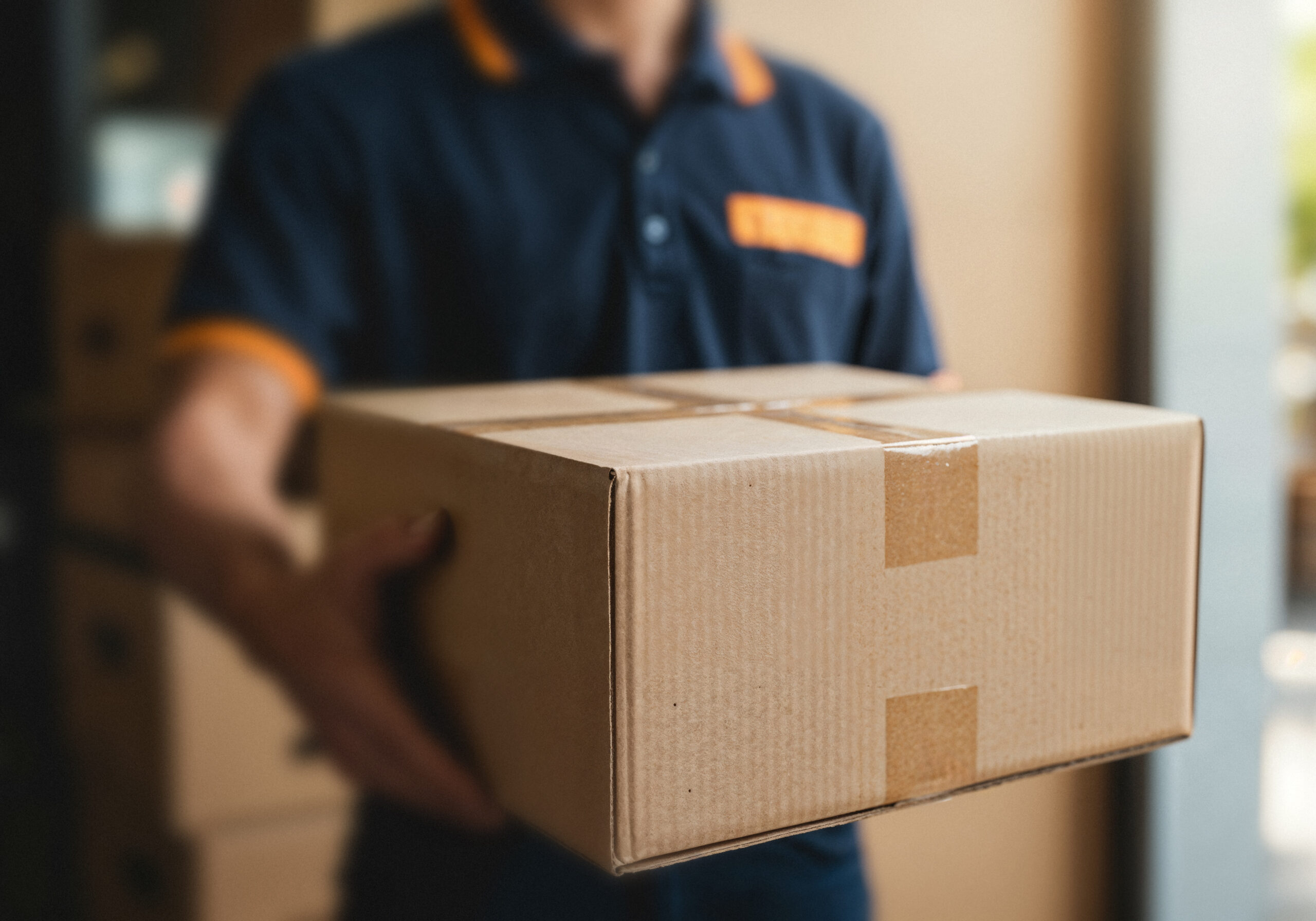 Image hover effect image